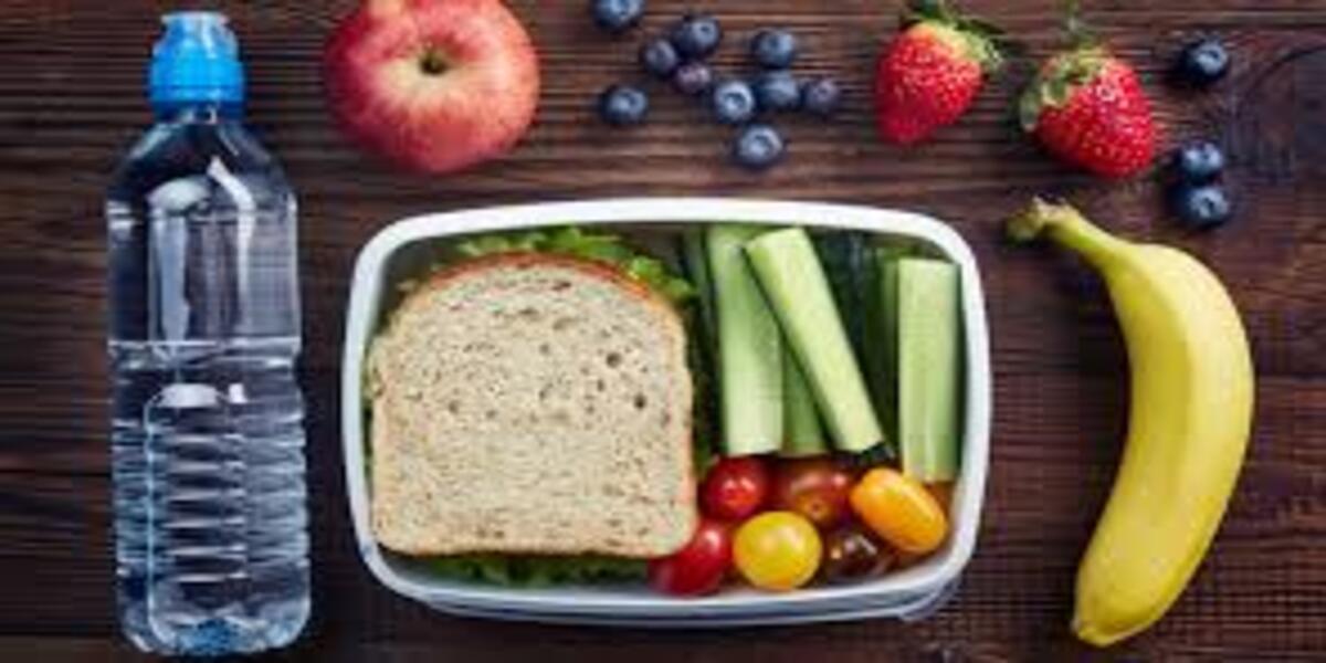 Fibras e Saúde Intestinal: Como a Dieta Previne Doenças do Trato Digestivo.